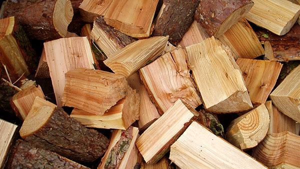 نتیجه تصویری برای بررسی قوانین صادرات چوب