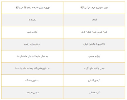 توری سایبان