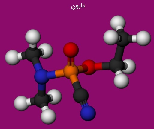 تابون