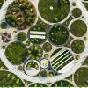 ویژگی های معماری شناسی گیاهان در فضای سبز
