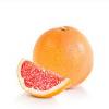 صادرات پرتقال والنسیا خونی