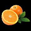 صادرات پرتقال سیاورز