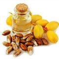 روغن هسته خرما و کشور های تولید کننده عمده آن
