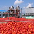 کاربرد دیگ بخار در انواع صنایع غذایی