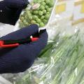 شرایط و روش های حمل کالای فاسد شدنی