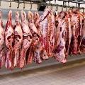 ترخیص 610 کانتینر گوشت در دو ماه اخیر