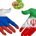 صادرات کیوی به روسیه 