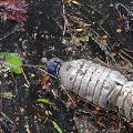 چگونگی حل مشکل پلاستیک های موجود در دریاها و اقیانوس ها(بخش اول)
