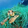 تشکیل کمربند آبی برای حفاظت محیط زیست دریایی